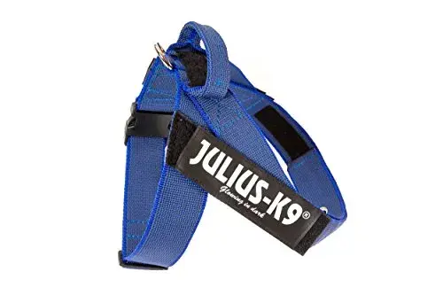 Julius-K9 Peitoral Color & Gray Azul 84-113cm