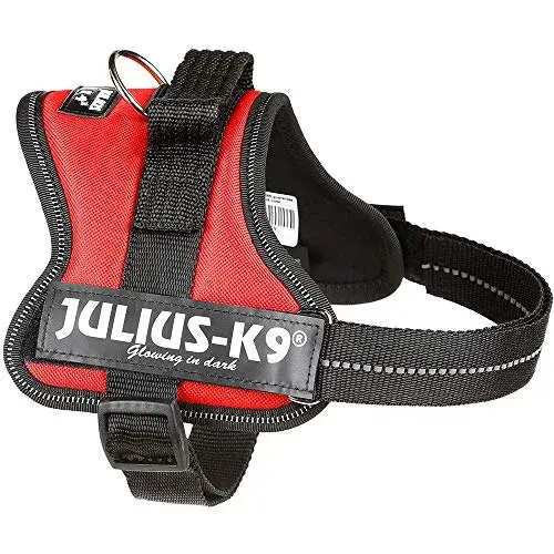 Julius-K9 Peitoral M Preto