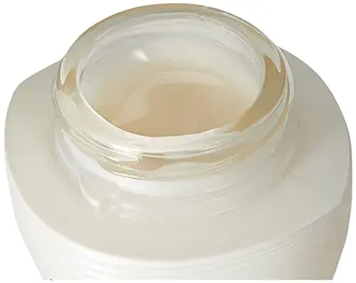 Kanebo Sensai Absolute Silk Cream 40ml