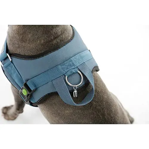 Kerbl Peitoral Maestro 2.0 L