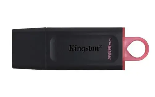 Kingston DataTraveler 256GB Preto Tampa