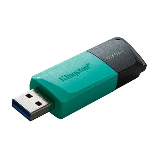 Kingston DataTraveler 256GB Preto USB 3.2