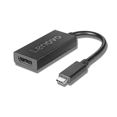 Lenovo Adaptador USB-C a DisplayPort 0,2 m {Macho}