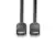 Lindy Cabo Displayport 1m Black Line