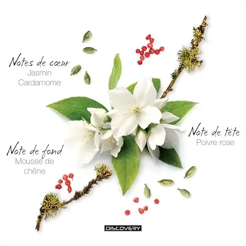 Mauboussin Discovery Man Eau de Parfum Bergamota, pimenta rosa, jasmim, caramomo, musgo de carvalho