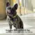 Max & Molly Coleira Smart ID Kiwi M