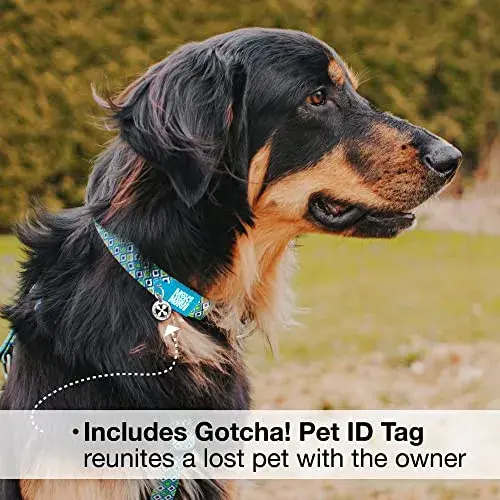 Max & Molly Coleira Smart ID Retro Blue M