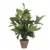 Mica Decorations Planta Artificial Hosta Verde 40x40x65cm