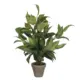 Mica Decorations Planta Artificial Hosta Verde 40x40x65cm