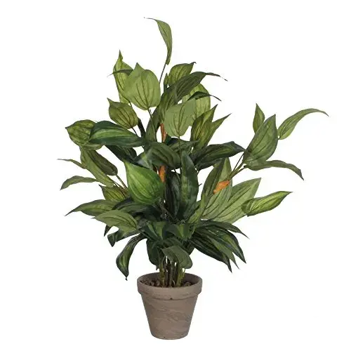Mica Decorations Planta Artificial Hosta Verde 40x40x65cm