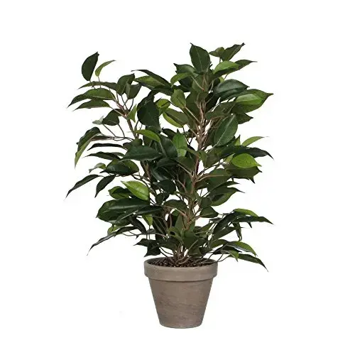 Mica Decorations Vaso Cerâmica Verde PVC Ficus 40x30cm