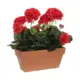 Mica Decorations Vaso Planta Decorativa PVC Vermelho 29x13x40 cm