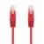 Nanocable Nanocable Cabo de Rede Cat.6e UTP AWG24 10 metros