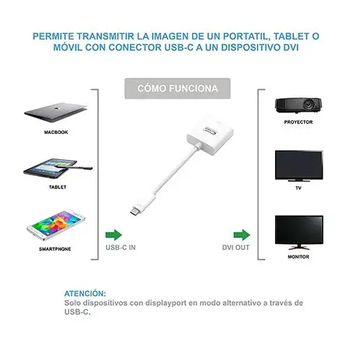 Nanocable Nanocable USB-C para DVI-D Dual Link 15 cm Macho