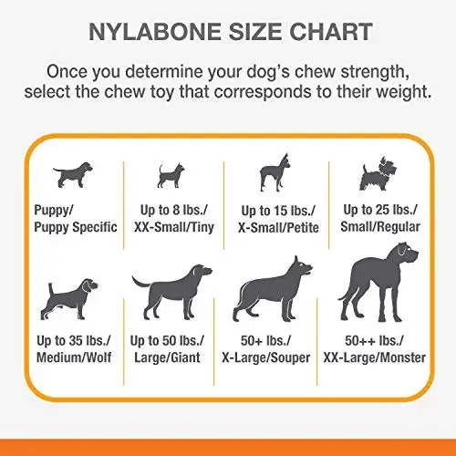 Nylabone Brinquedo de Mastigar Fêmur X-large Nylon Durável