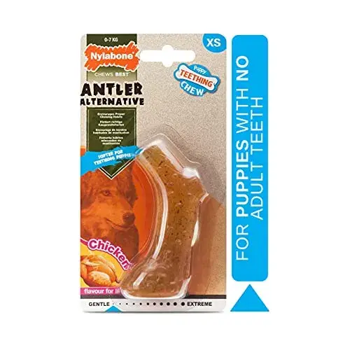 Nylabone Dog Chews Antler de Frango XS