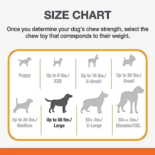 Nylabone Dura Chew Osso Carne 14x14x3cm