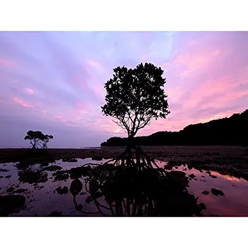 Panasonic Lumix G Vário 7-14 mm F4,0 ASPH