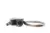 Peak Leash V3 Ash Correia com Ajuste Rápido