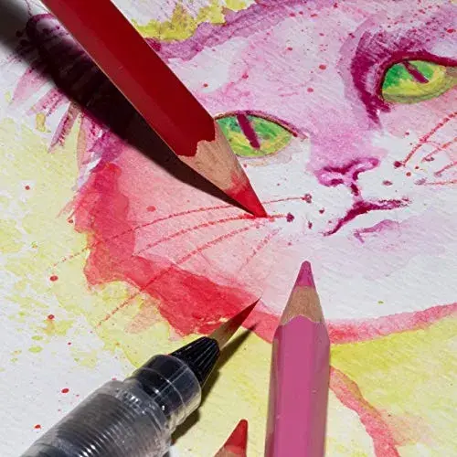 Pentel Lápis de Cor Aquarelável 12 cores com ponta resistente