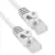 Phasak PHK 1515 Cabo de Rede RJ45 UTP Cat.6 15m Cinza