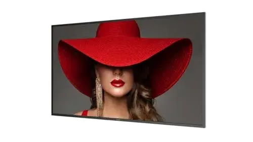 Philips 55BDL4650D 55″ 4K Ultra HD Monitor