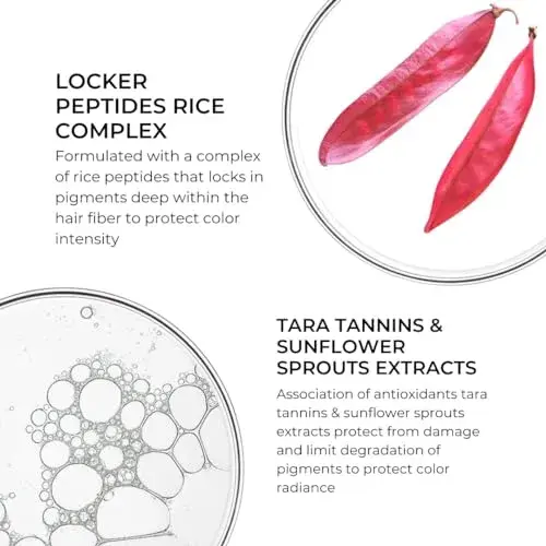 Phyto Color Máscara de Extensão de Cor 200ml