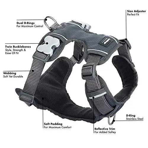 Red Dingo Arnês Padded Cinza XS