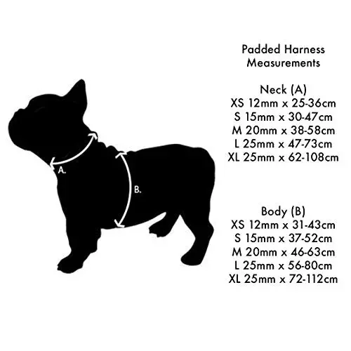 Red Dingo Trelas e Peitorais Arnês Acolchoado Hot Rosa L