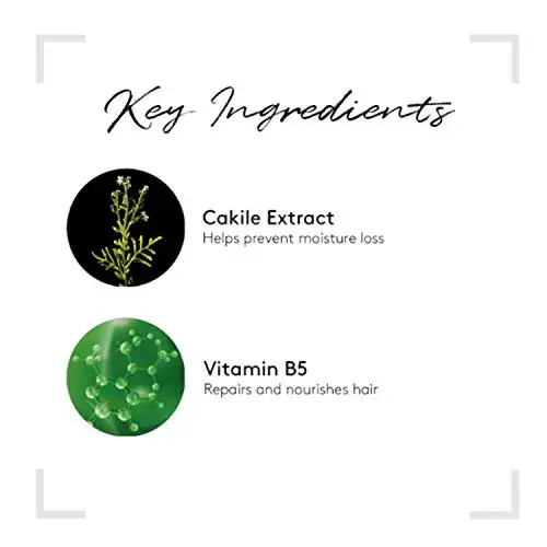 René Furterer Style Laca Fixação Forte 300ml