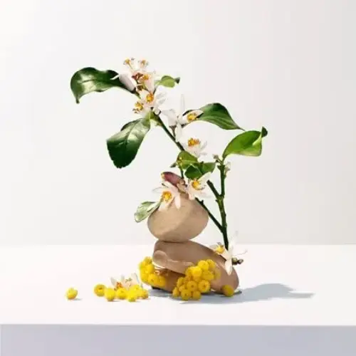 Roger & Gallet Neroli Água Perfumada 30ml