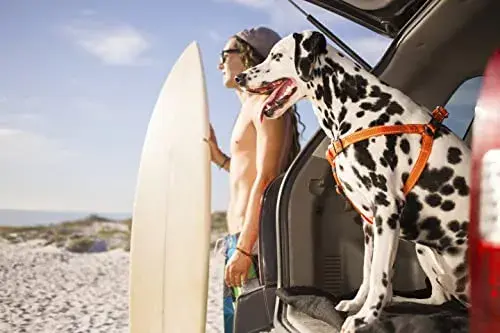 Rogz Peitoral Utility Reflector XL Vermelho