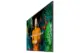 Samsung LH55QBCEBGCXEN 55″ 4K UHD OLED
