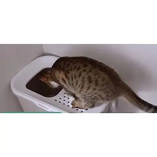 Savic Caixas de Areia Gato Hop In Cinzento