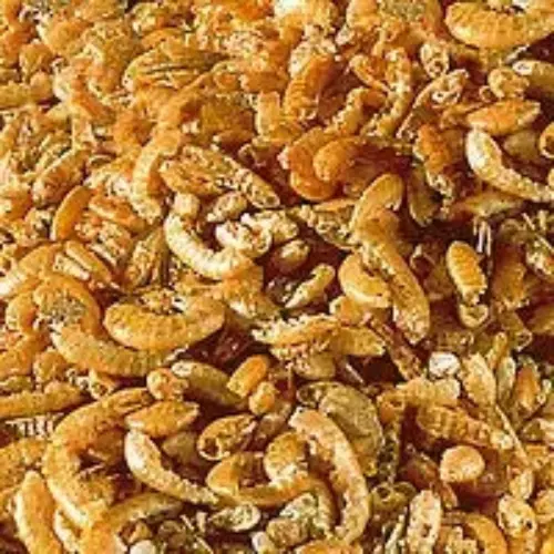 Sera Comida para Peixes Gammarus 100ml