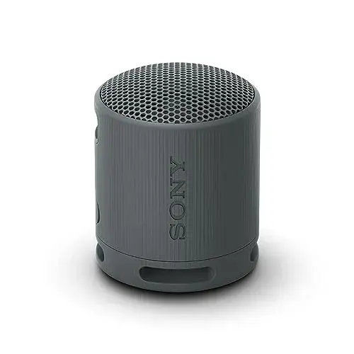 Sony SRS-XB100B Compact Bluetooth Preto
