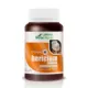 Soria Natural Vit&Min 40 Hericium Complex Apoio ao Sistema Nervoso 60 Cápsulas