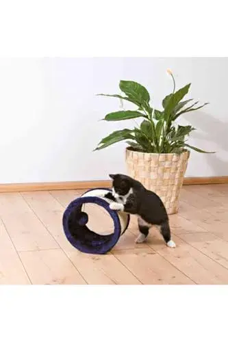 Trixie Arranhador Tambor