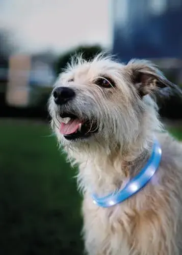 Trixie Banda Luz Reflexiva 70cm x 30mm