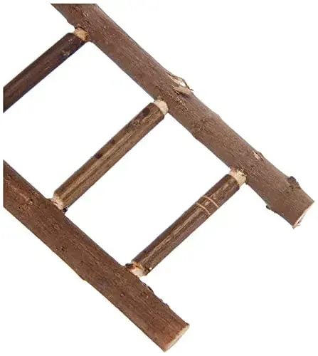 Trixie Escada em Madeira Natural 30cm