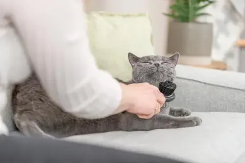 Trixie Linha Cuidado do Pelo Escova Cardadeira Macia 10x17cm