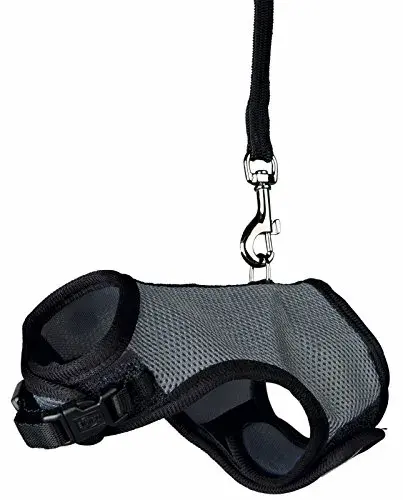 Trixie Peitoral + Trela Elástica Roedores M