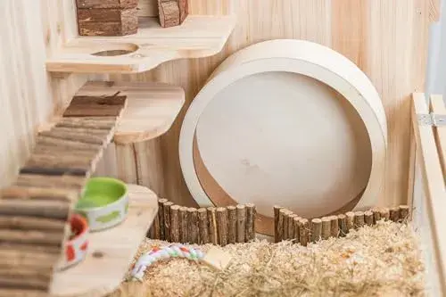 Trixie Roda de Exercício para Roedores 21 cm