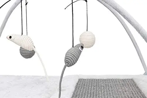 Trixie Tapete de Arranhar