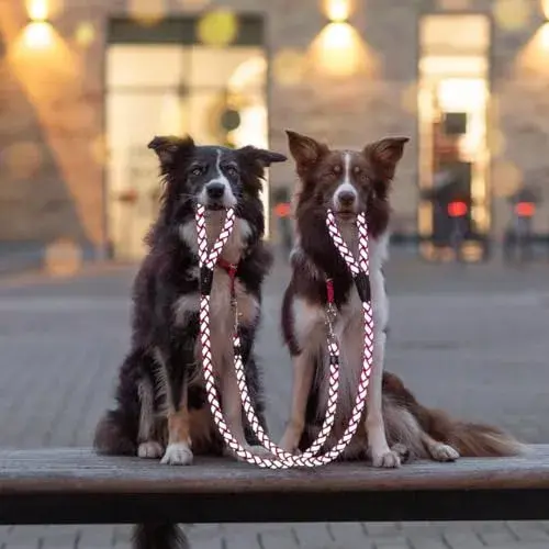 Trixie Trela Cavo 1m 12mm