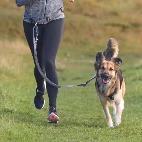 Trixie Trela Mãos Livres S