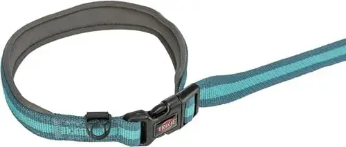 Trixie Trela para Jogging