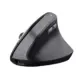 Trust TM-270 Ergonômico Wireless 2400 DPI RF Wireless Preto