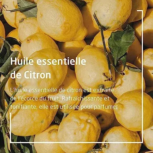 Weleda Citrus Desodorizante Roll-On 50ml