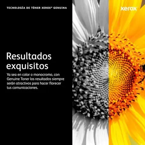 Xerox 106R03691 Toner Magenta 4300 páginas